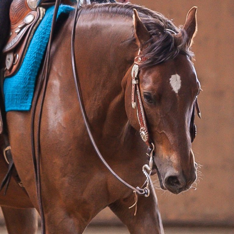 mentale stärke - 10 Strategien