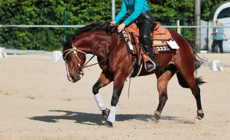 Mentale Blockaden im turnier