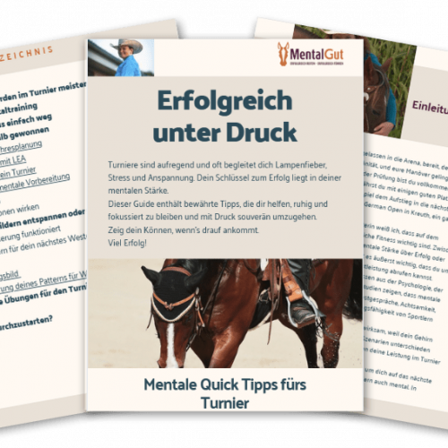 Quick-Tipps "Erfolgreich unter Druck"